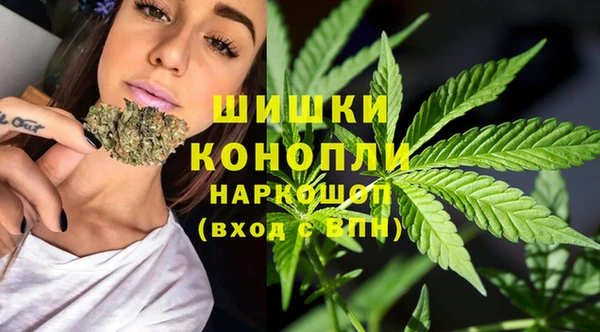 мдпв Сафоново