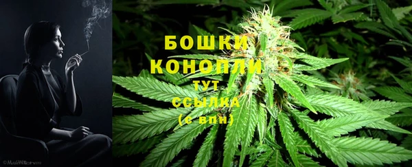 мдпв Сафоново
