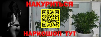 крисы Берёзовский