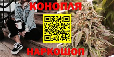 крисы Берёзовский