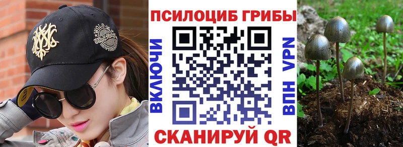 Галлюциногенные грибы мицелий  Тында 