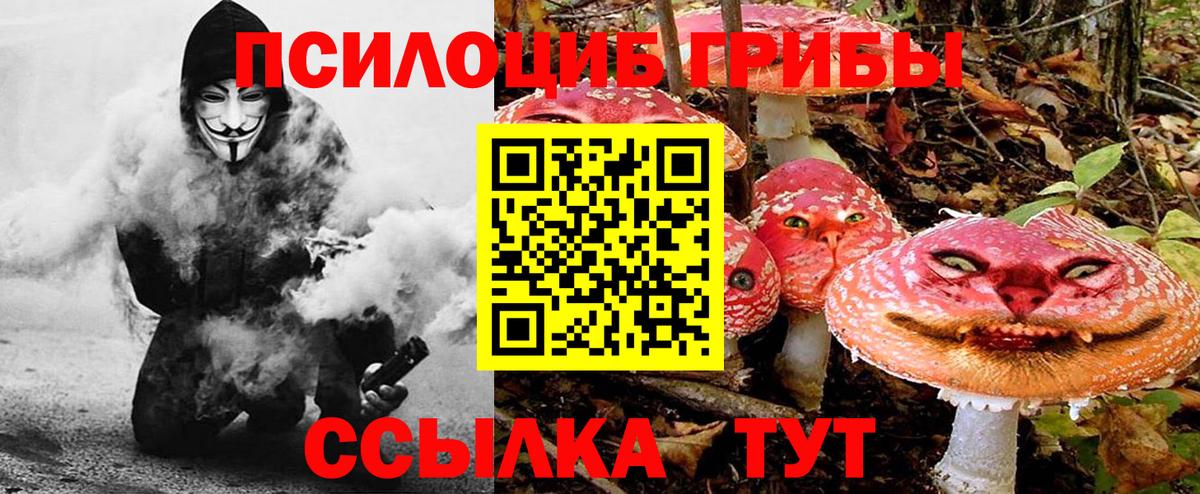 Галлюциногенные грибы ЛСД Тында