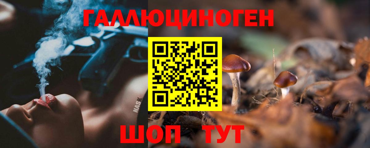 Галлюциногенные грибы Psilocybine cubensis  Галлюциногенные грибы Psilocybine cubensis  Тында 